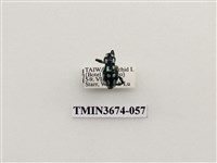 藏品(象鼻蟲(2))的圖片